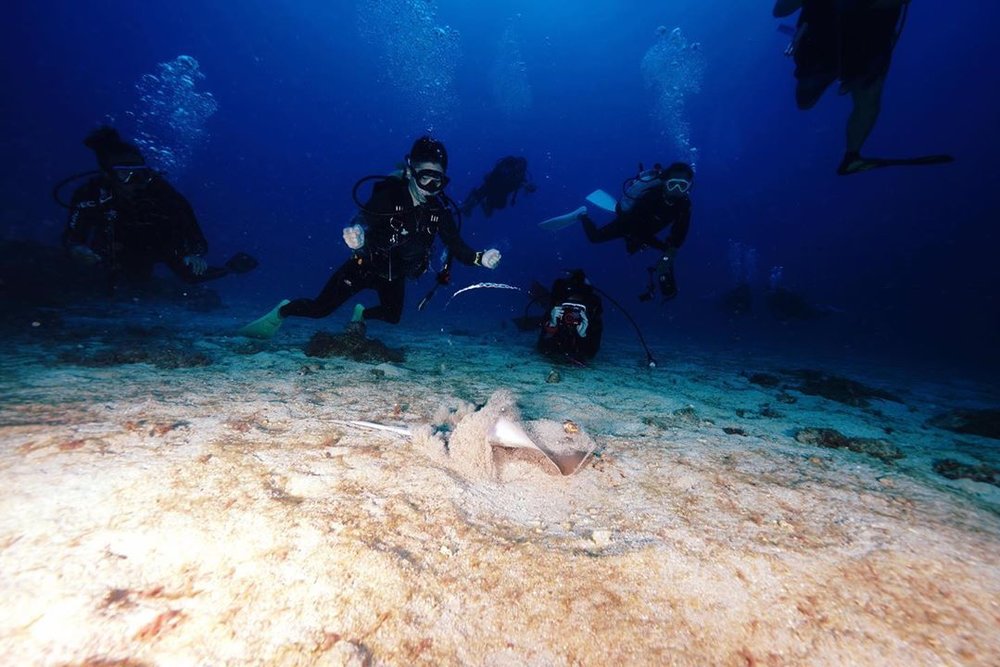 潛水體驗：後壁湖