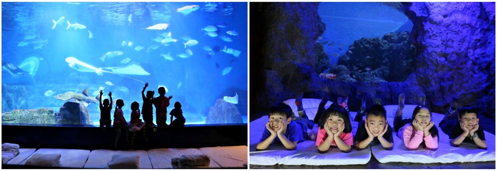 花蓮遠雄海洋公園：夜宿體驗