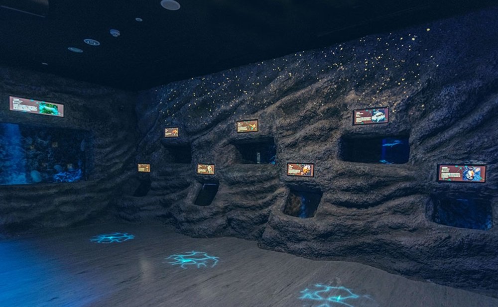 桃園 Xpark展區：深海尋秘