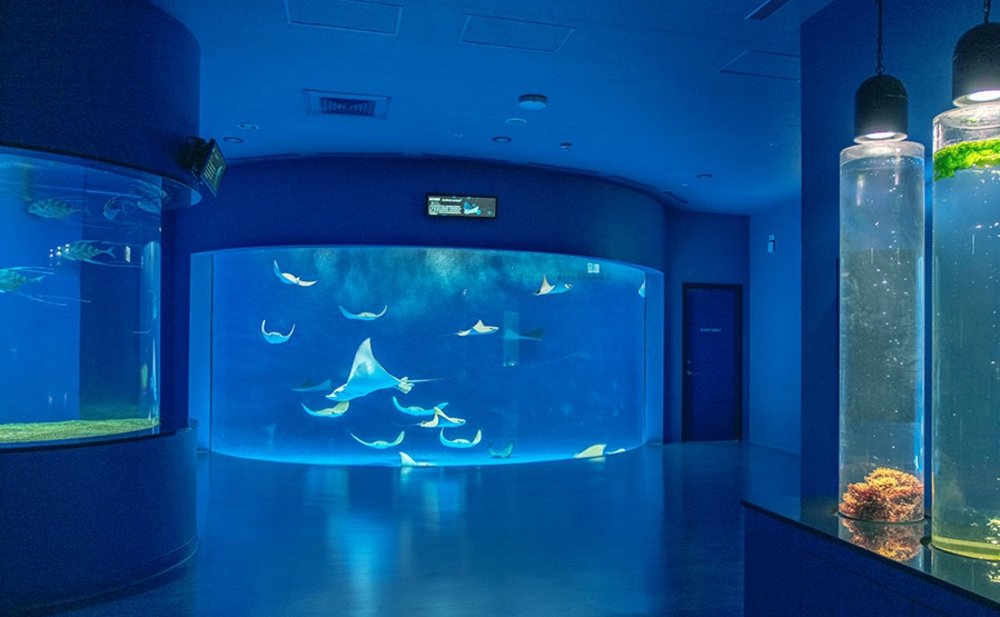 Xpark暖海生機展區