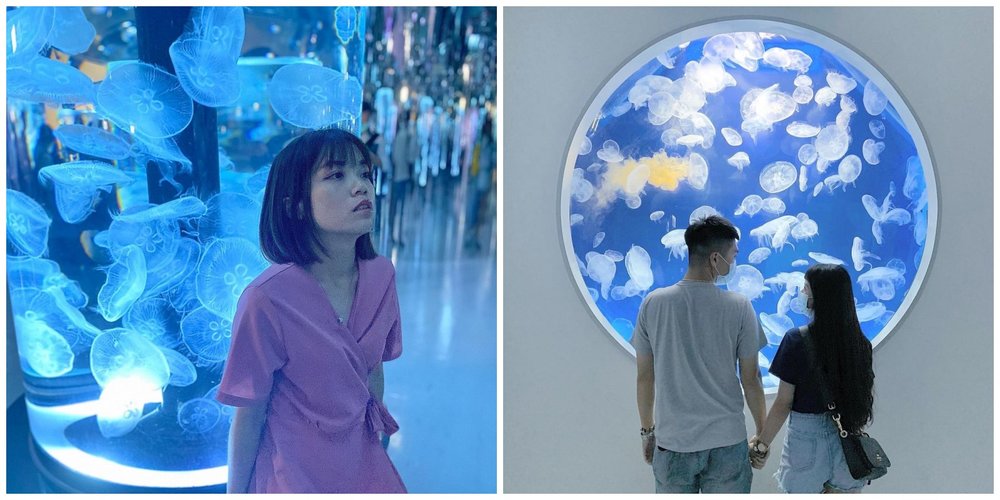 Xpark 水族館與水母拍照