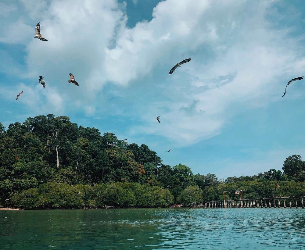 langkawi pulau singa besar island hopping