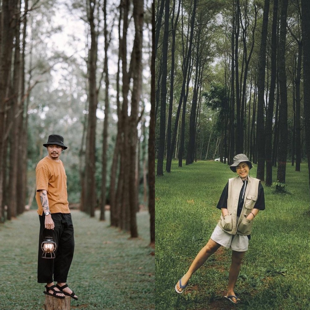 ที่เที่ยวเชียงใหม่หน้าหนาว สวนสน แม่แตง 