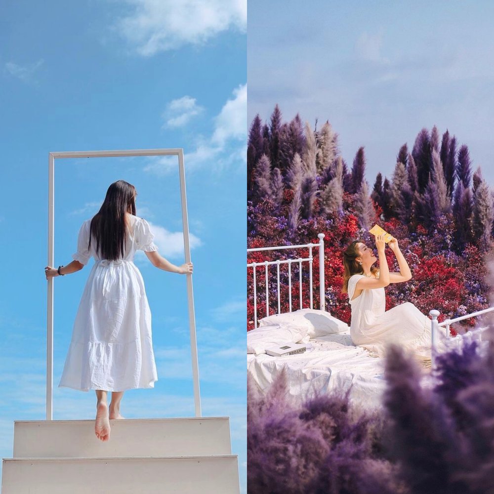 ภูฟิน หางดง