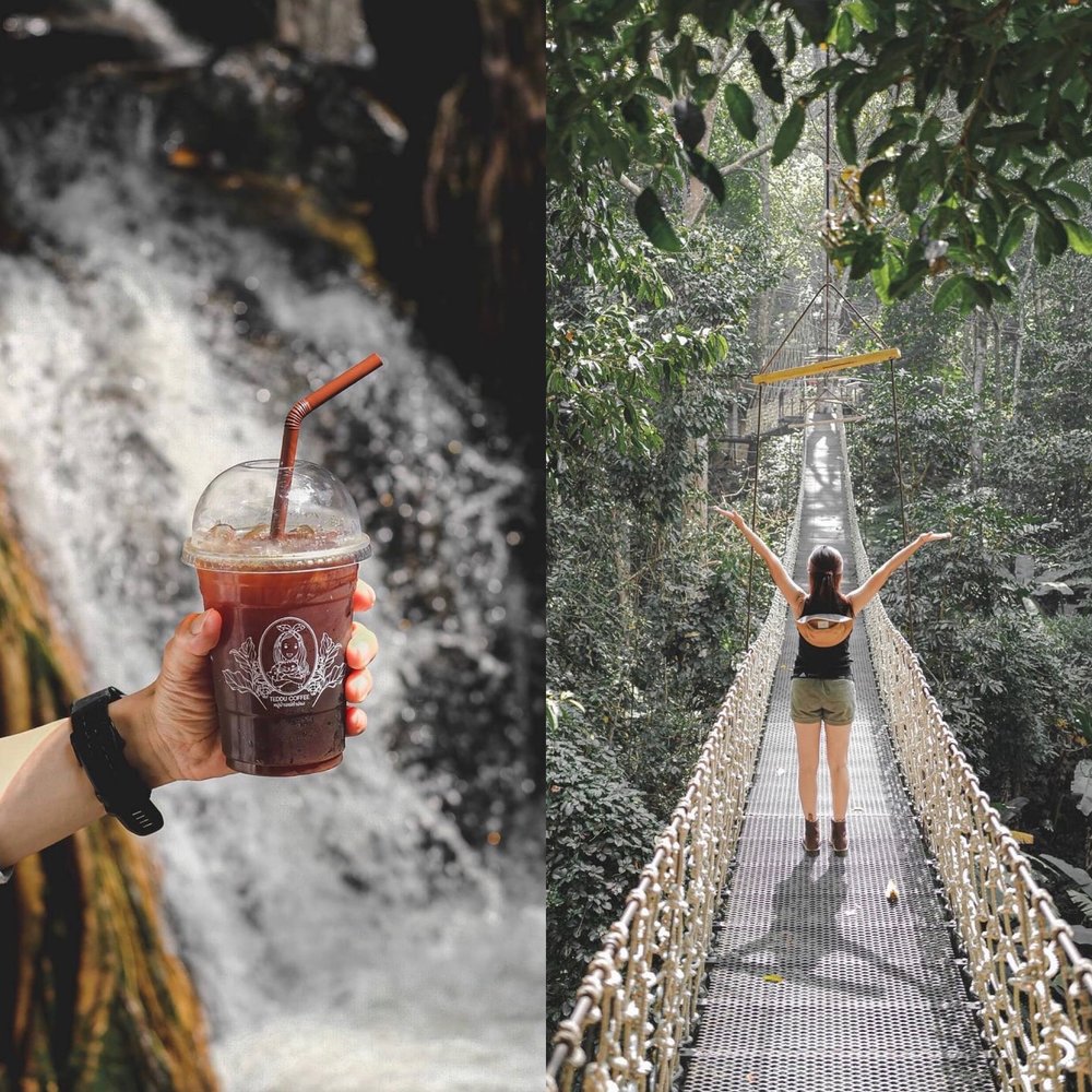 Teddu Coffee เชียงใหม่