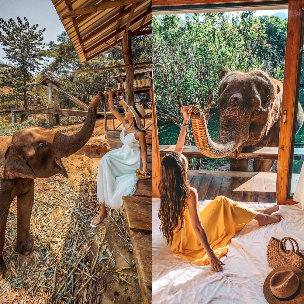 The Chai Lai Orchid เชียงใหม่