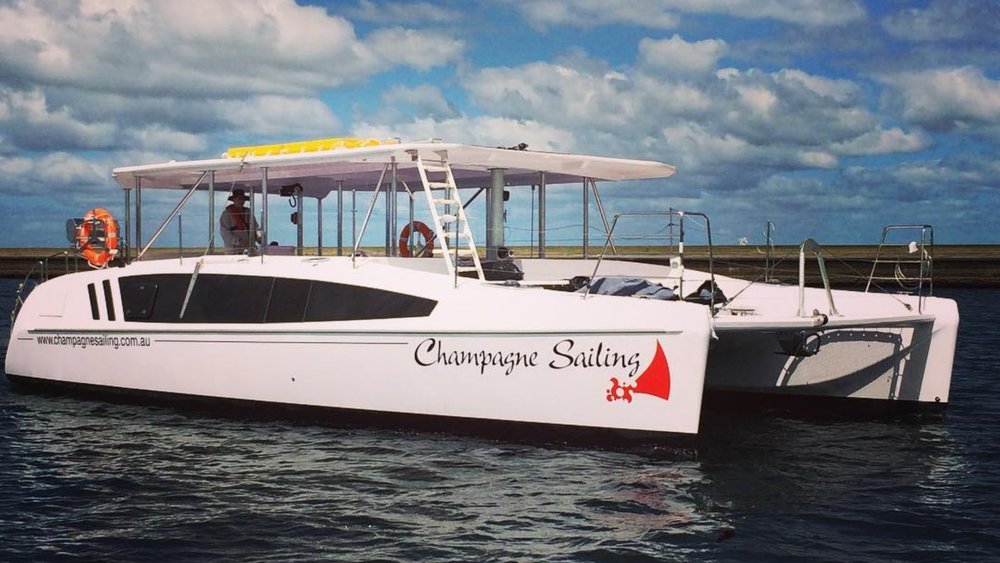 There’s plenty of room on Champagne Sailing to see dolphins and whales! Image credits: @champagne_sailing on Instagram