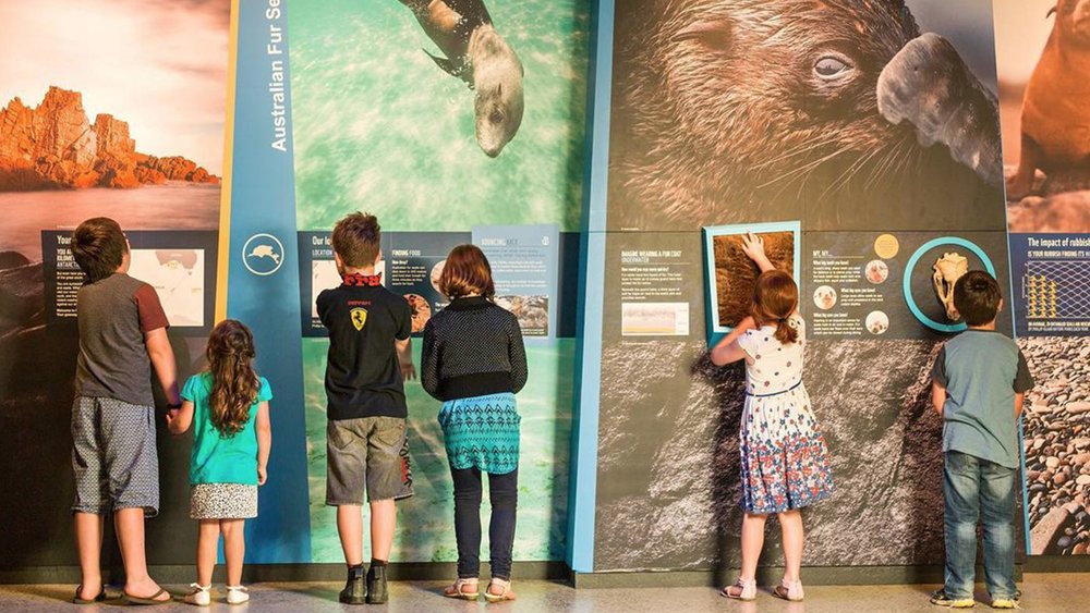 Have a fun educational experience at Antarctic Journey at the Nobbies. Image credits: @phillipislandnp on Instagram