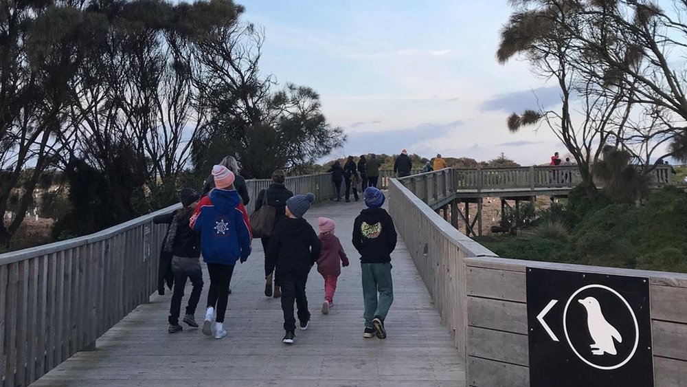 Bring the whole fam to the best Phillip Island spots with this private car charter!
