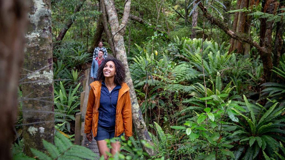 Feel one with nature as you explore the lush forests of Rakiura