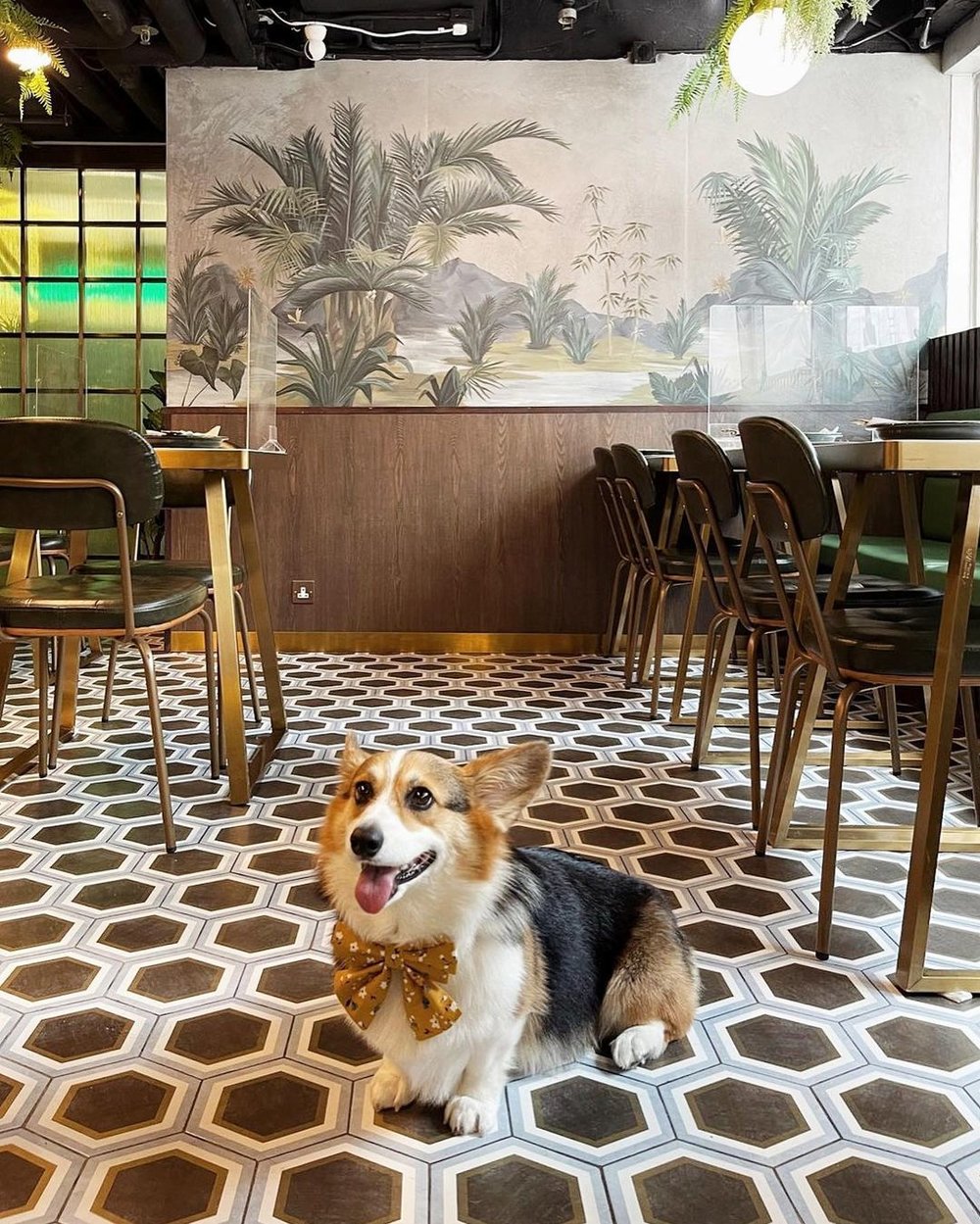 店內有大型的竹樹畫，配以復古風設計，奴才可為主子拍出不同風格的靚相。(Instagram @wishao.hk)