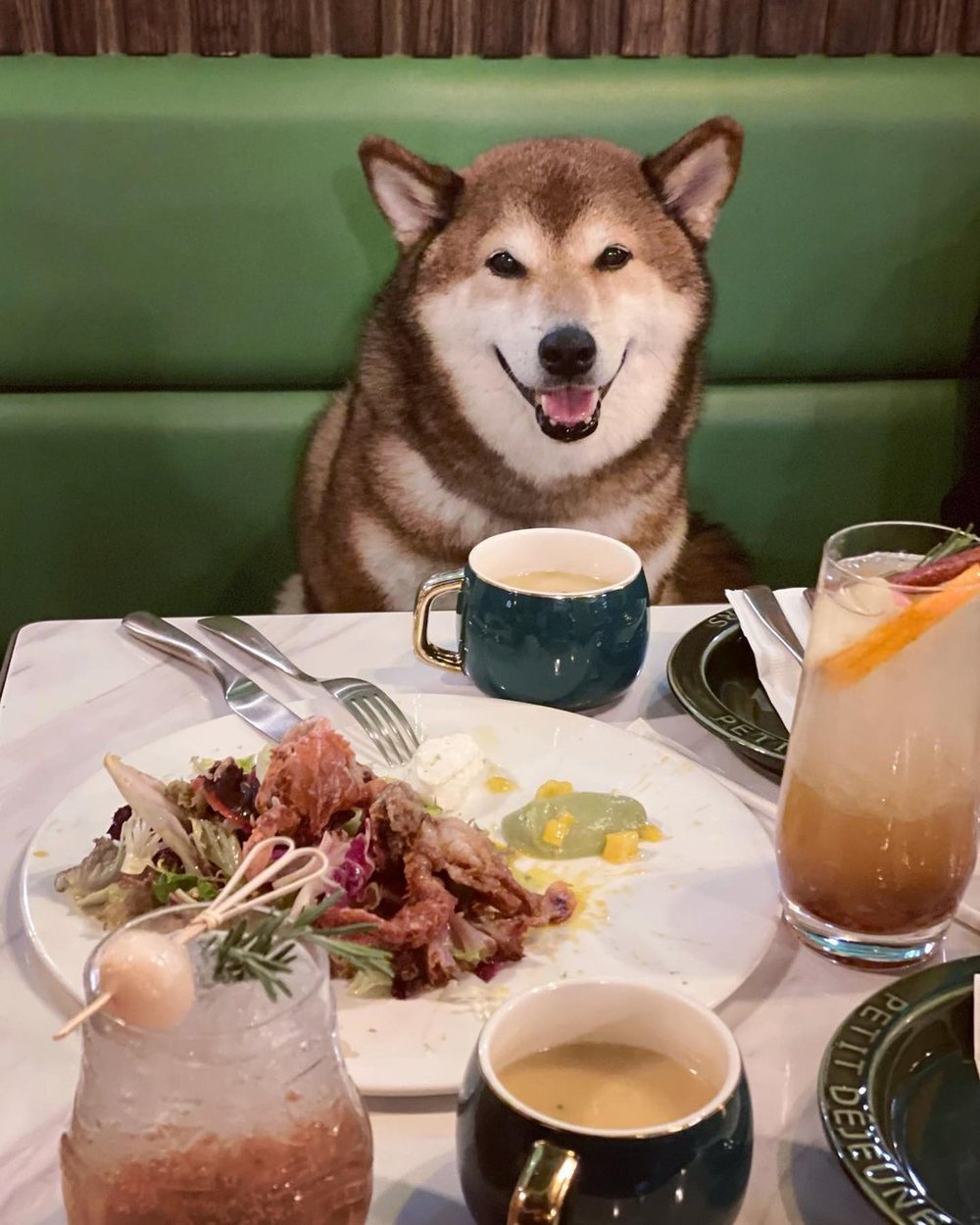餐廳對動物朋友很體貼，歡迎狗狗坐上梳化，陪飼主食飯打卡。(Instagram @shibawe0429)