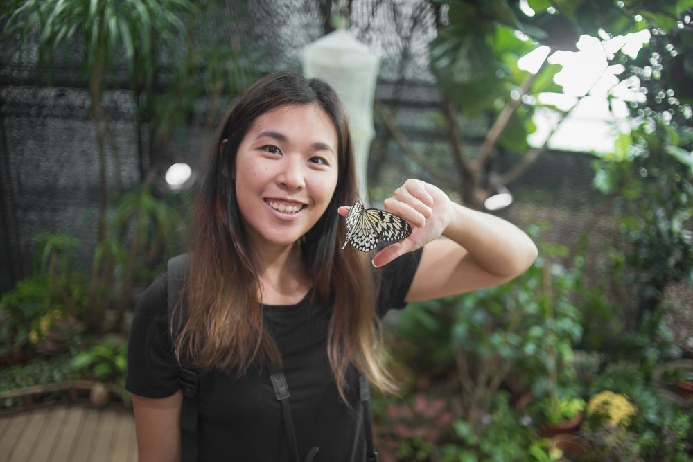 sicence centre butterfly