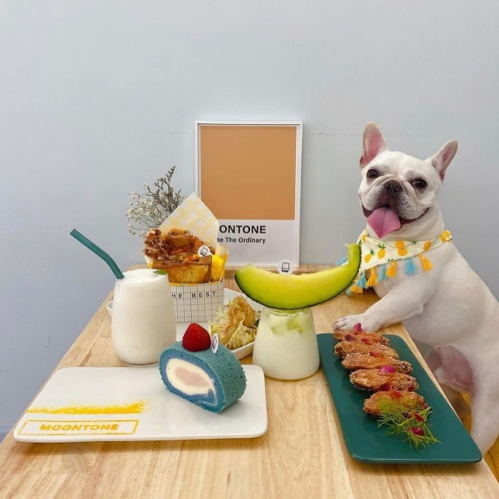 餐廳不時會推出季節限定的水果作甜品和乳酪特飲，像日本密瓜和桃等，極吸引。(Instagram @poodleduffykodafrenchiemilkboy and @cafehoppingwithmydog)