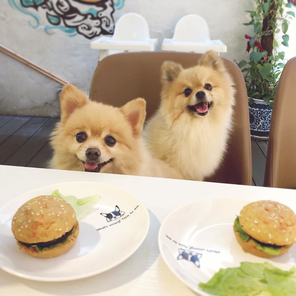 狗狗專用的迷你漢堡，需先預訂。(Instagram @ coffeebean_joyride)