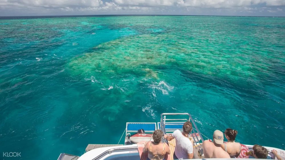 Get to see firsthand how massive the Great Barrier Reef is!