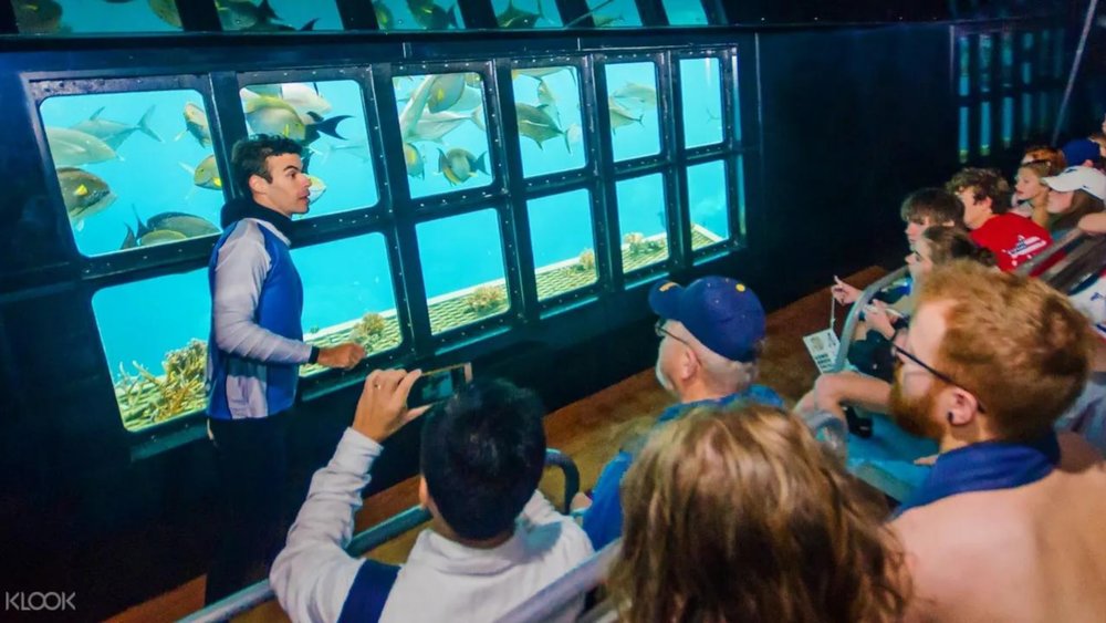 Get to know more about Great Barrier Reef trivia!