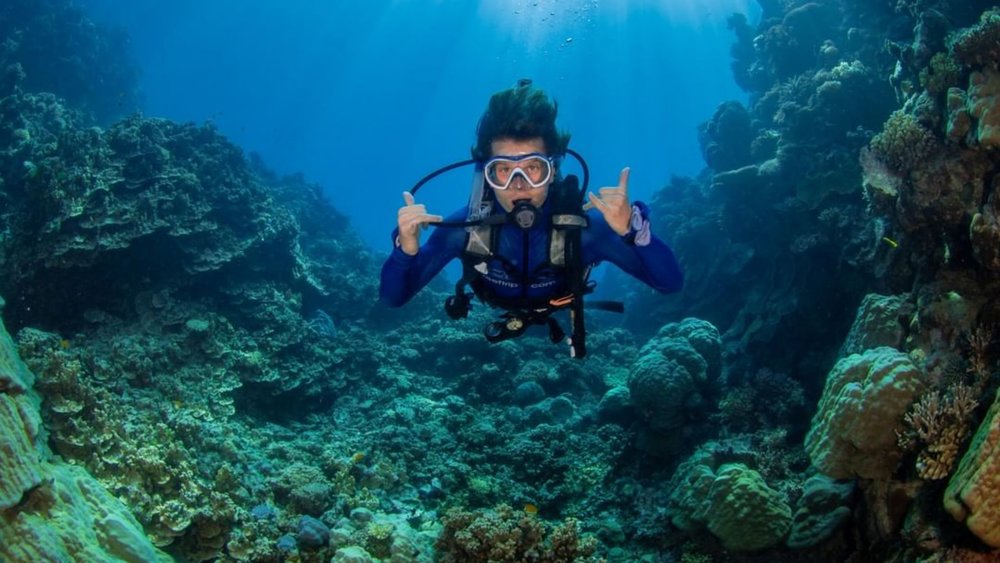 Plan your visit to the Great Barrier Reef today!