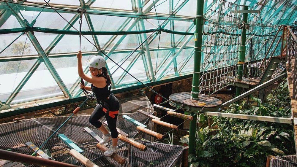 Challenge yourself at Cairns ZOOM! Credits: @tropicalnorthqueensland