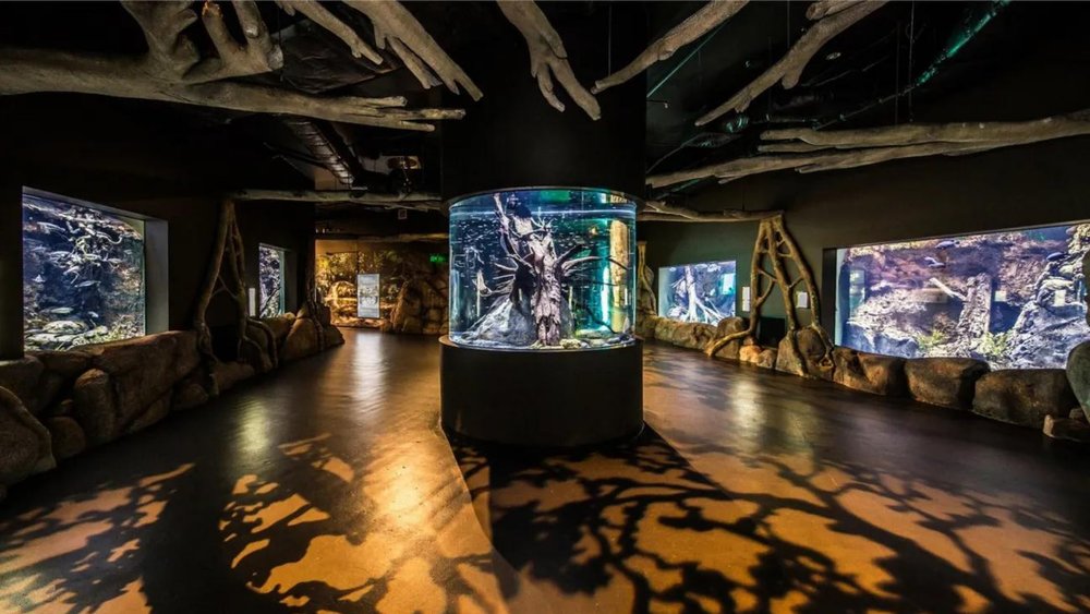 A different side of Cairns Aquarium awaits at the Twilight Tour