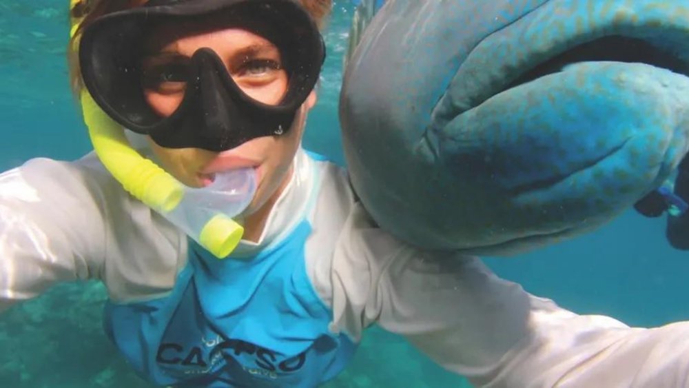 Feel like Little Mermaid on this Agincourt Reef snorkel experience!