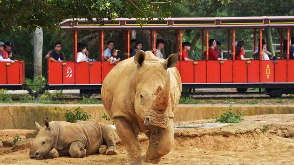 六福村園區介紹：非洲部落