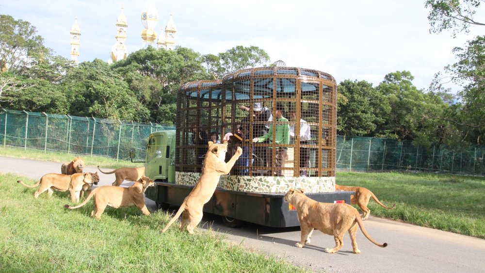 六福村必玩設施：猛獸巴士