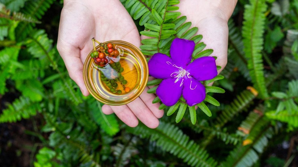 review Fusion Phú Quốc Resort