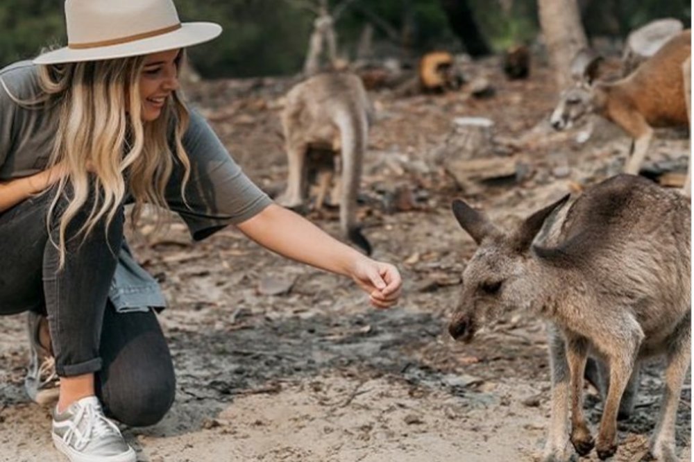 Get up close with the friendly free-ranging kangaroos. Image credit: Walkabout Wildlife Sanctuary