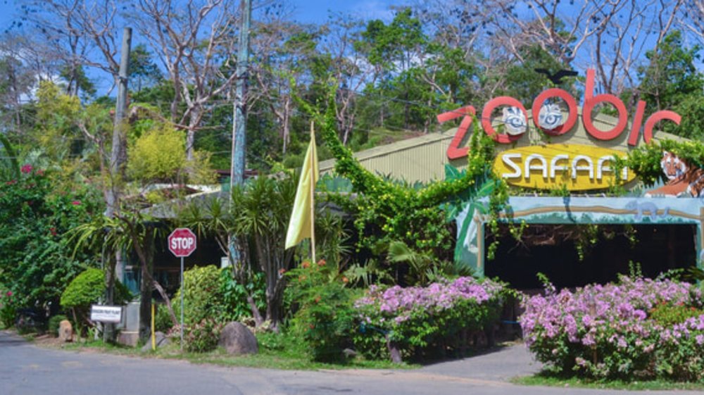how much zoobic safari entrance