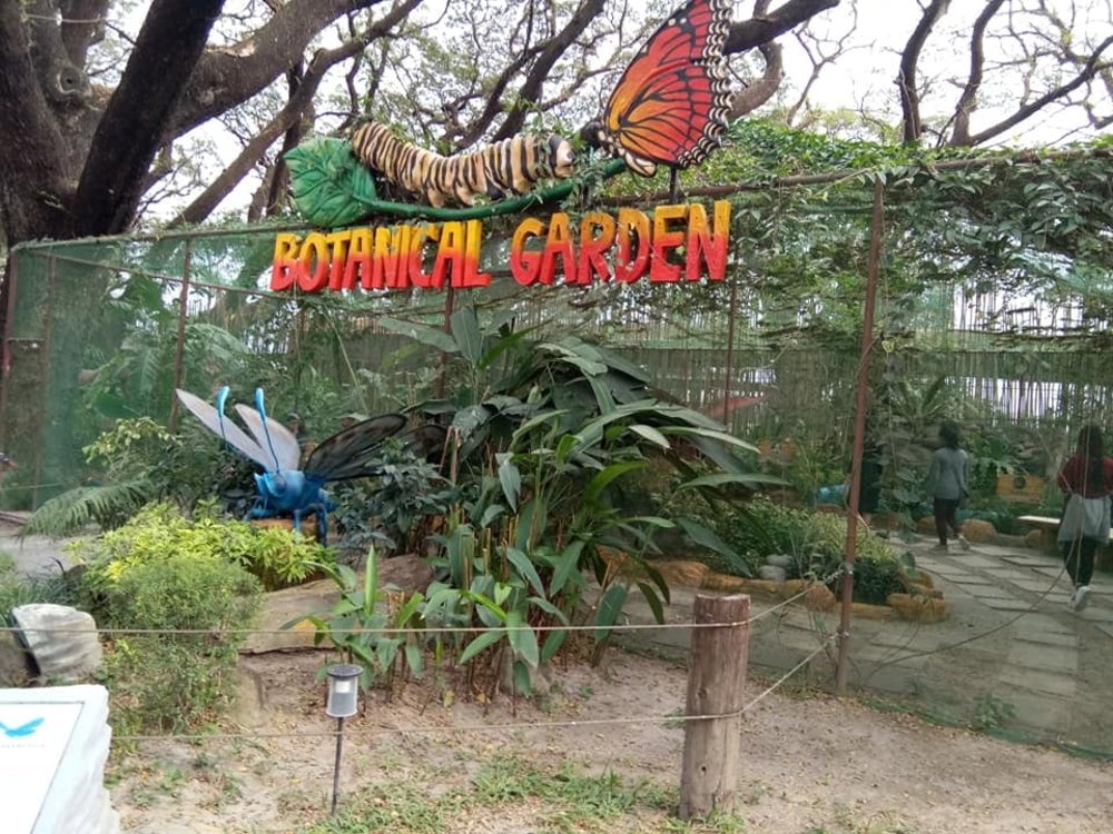 butterfly garden at insectlandia clark