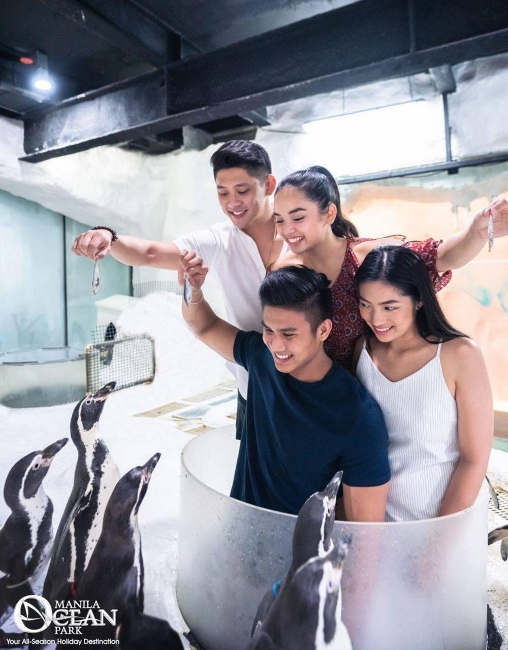 friends feeding penguin at manila ocean park