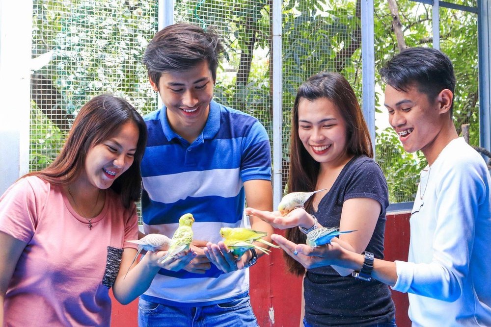 What You Need To Know Before You Visit Manila Ocean Park: Opening Hours