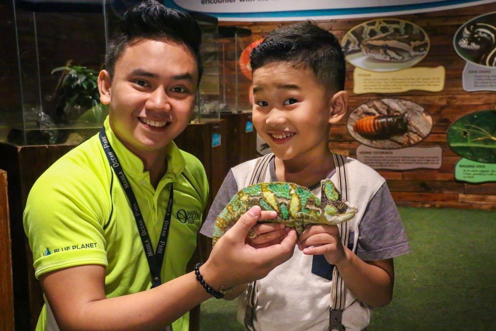 boy and staff holdting reptile at manila ocean park