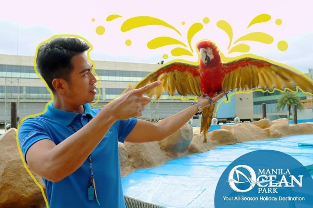 staff and bird at manila ocean park