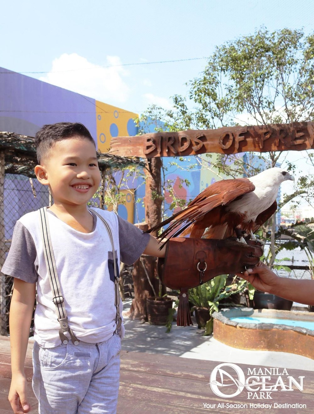 little boy holding eagle at manila ocean park