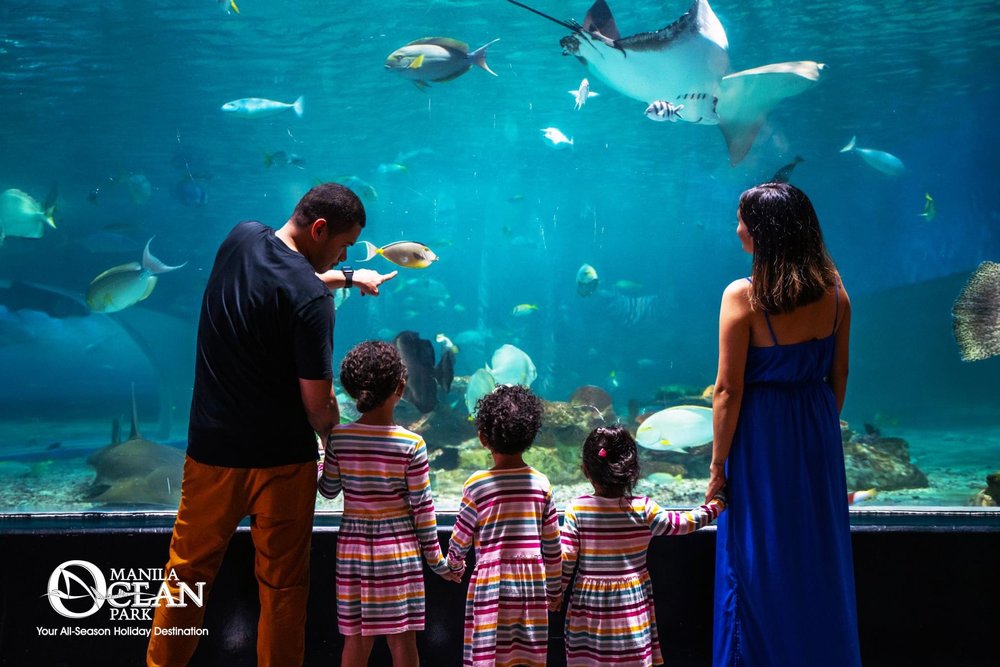 Манила оушен парк. Manila Ocean Park Манила. Manila Ocean Park. Shanhaiguan Lertao Ocean Park.