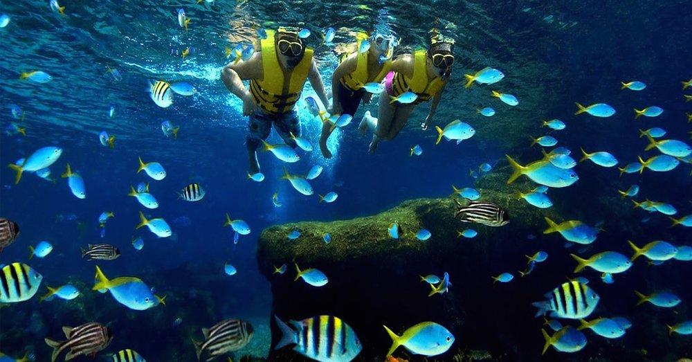 vinpearl-resort-nha-trang