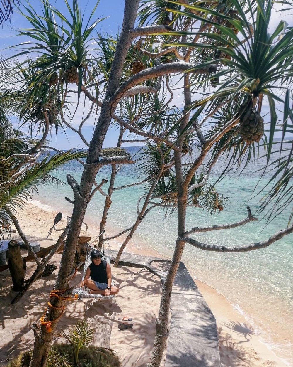 trees by the beach at hinugtan beach