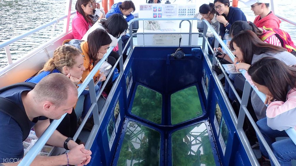glass-bottom boat at hoi ha wan marine park