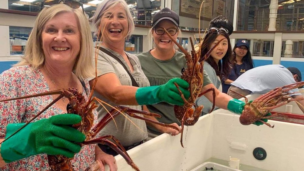 Encounter live lobsters at The Lobster Shack! Credits: @leisaneylon from @lobstershackwa