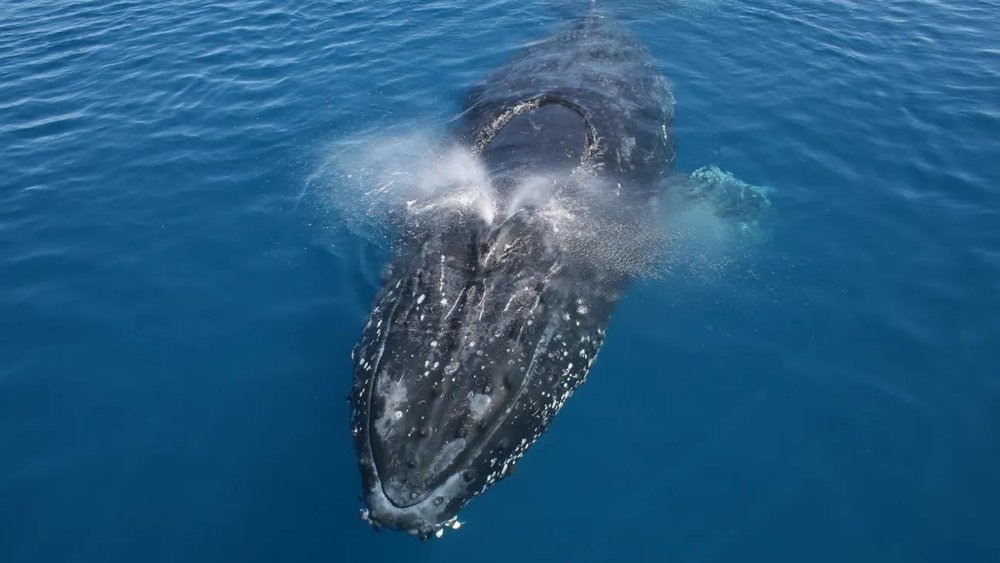 Don’t forget to say hello!