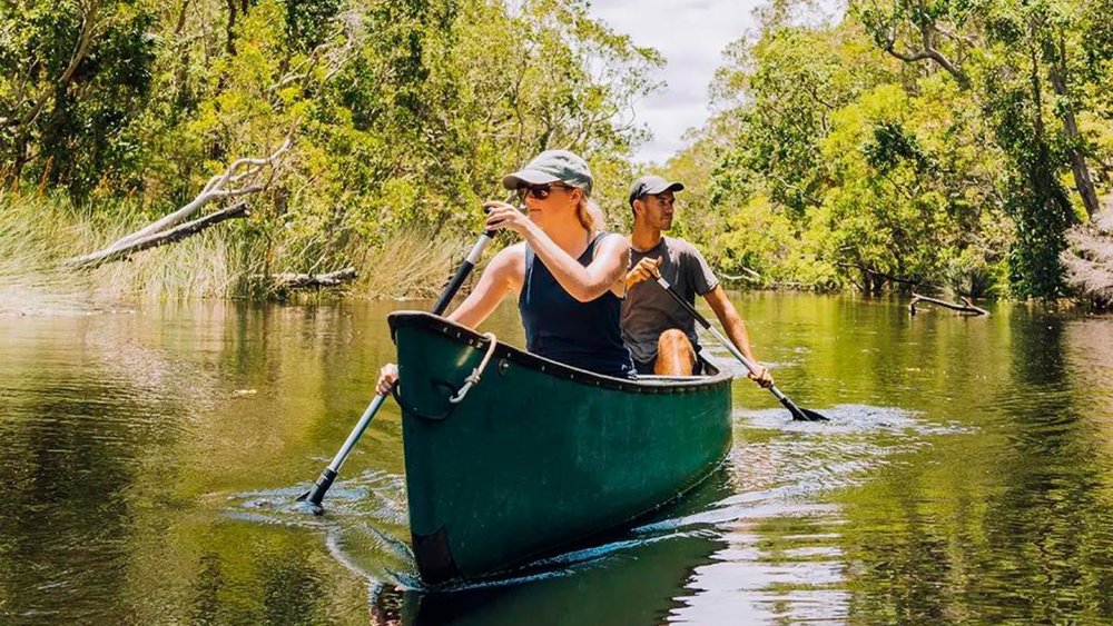 Paddle along the serene atmosphere of Noosa Everglades