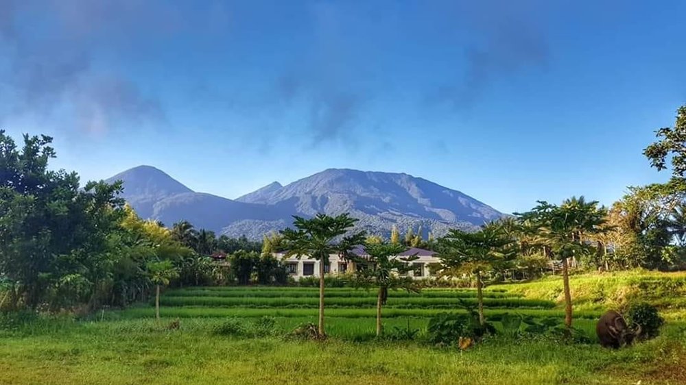 costales nature farm