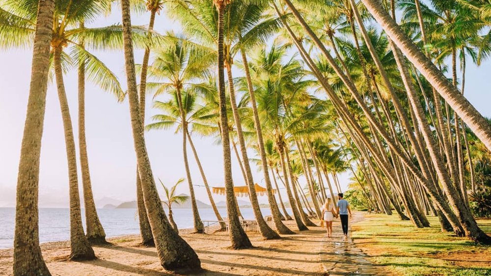 Discover tropical paradise at Cairns. Image credit: @tropicalnorthqueensland
