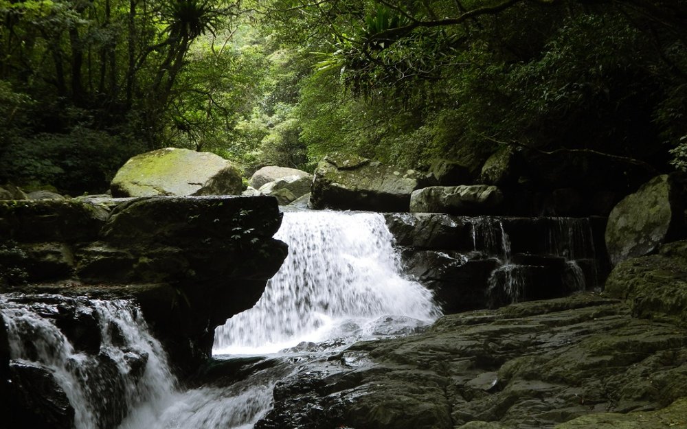 森林遊樂區：滿月圓