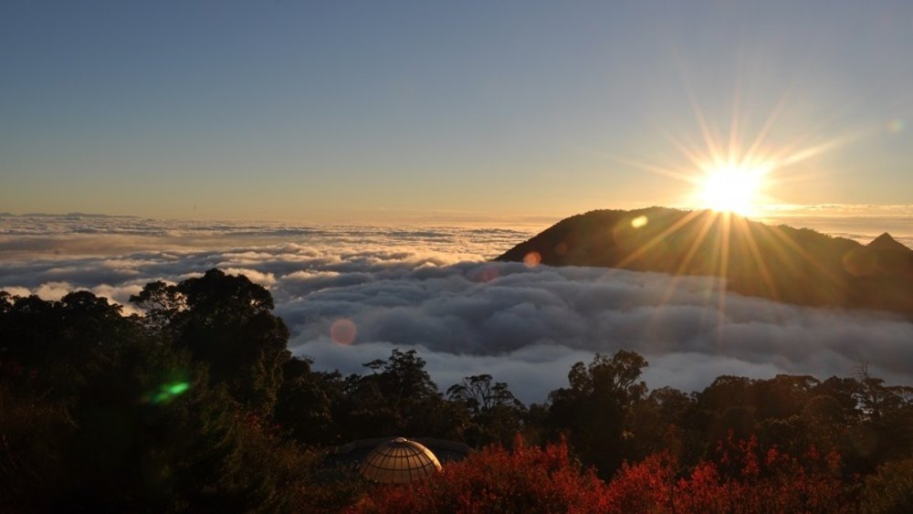 台中景點：大雪山國家森林遊樂區