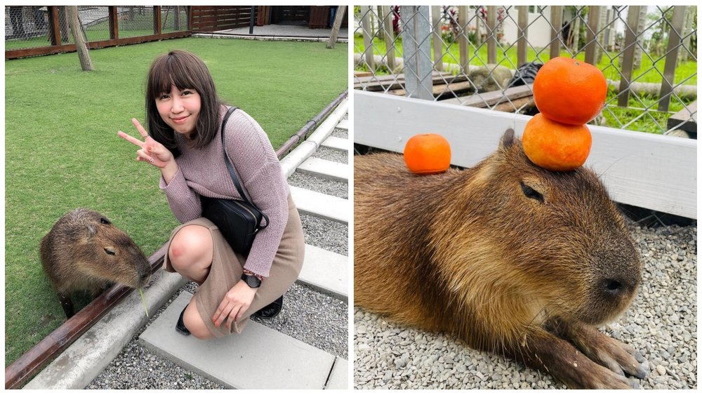 宜蘭親子景點:張美阿嬤農場