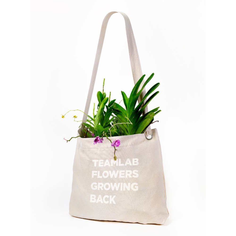 teamLab Flower Shop & Art