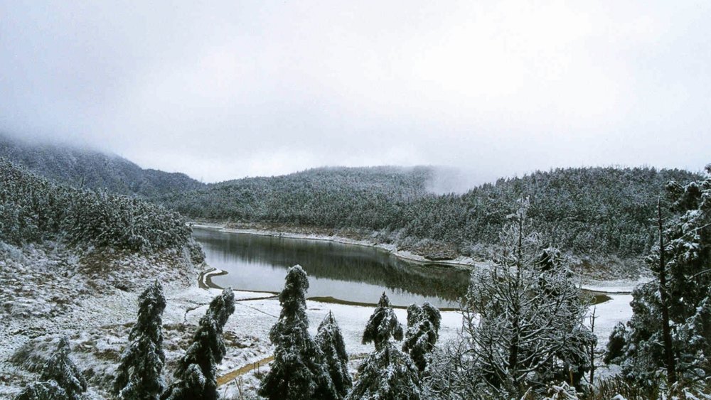 太平山冬季雪景